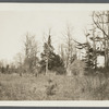 Capt. Seaman house, later Caroline Hawkins house. North side Montauk Highway, between Brookhaven P.O. and South Haven Church. Built about 1787. South Haven, Brookhaven