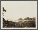 View of Setauket Harbor. Looking northeast from South Street. East Setauket, Brookhaven