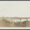 View of Dyer's Neck, west side Port Jeferson Harbor. Port Jefferson, Brookhaven