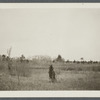 View of field and trees, with J. Carman house in distance. Brookhaven, Brookhaven