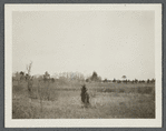 View of field and trees, with J. Carman house in distance. Brookhaven, Brookhaven