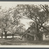 Swezey's Gristmill. North side Montauk Highway, on Swan Creek. East Patchogue, Brookhaven