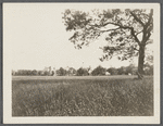 View of houses across a field. South of Montauk Highway and east of Presbyterian Church. View from Montauk Highway, looking southwest. Bellport, Brookhaven