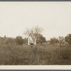 A. Barnes house. West side of Terrells River, just north of Montauk Highway. East Moriches, Brookhaven