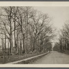 View of Main Street, showing trees. Looking west toward P.O. Yaphank, Brookhaven