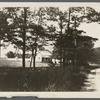 [H. Perdue] House. South side Montauk Highway, east side Terrill's River, on Smith's Duck Farm. East Moriches, Brookhaven