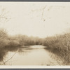 View of brook opp. Mecox Bay Farm, looking north from Montauk Highway, west of Hay Ground Mill. Bridgehampton, Southampton