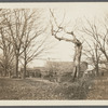 View of barns on old farm. North side Montauk Highway, west of road leading to Sag Harbor and Sea View House, between Water Mill and Hay Ground, on Rose's Hill. Bridgehampton, Southampton