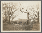 View of barns on old farm. North side Montauk Highway, west of road leading to Sag Harbor and Sea View House, between Water Mill and Hay Ground, on Rose's Hill. Bridgehampton, Southampton