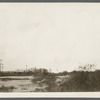 View at Sebonack Neck. Sebonac, Southampton