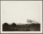 View at Sebonack Neck. Shinnecock Golf Club in distance. Sebonac, Southampton