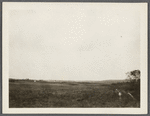 View at Sebonack Neck. Looking east to Bull Head Bay. Sebonac, Southampton