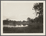 View of Otter Pond. Looking northwest. Sag Harbor, Southampton