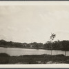 View of Otter Pond. Looking northwest. Sag Harbor, Southampton