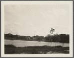 View of Otter Pond. Looking northwest. Sag Harbor, Southampton