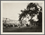 View of Main Street (west side?), looking north. Sag Harbor, Southampton