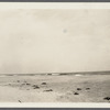 View of Beach. Bridgehampton, Southampton