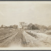 View of Paul's Lane at Halsey Lane, looking east. Cook house on left, Watson Halsey house on right. Bridgehampton, Southampton