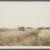View of Bridge Lane, east of Sagg Bridge, Saggaponack. Looking east. Man and horses tilling field. Bridgehampton, Southampton