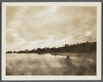 View of Sagg Pond. Looking southwest from Sagg Bridge. Bridgehampton, Southampton