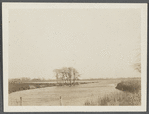 View of Sagg Inlet. Looking south from Saggaponack Road, east of Chas. T. Ludlow house. Bridgehampton, Southampton