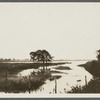 View of Sagg Inlet. Looking south from Saggaponack Road, east of Chas. T. Ludlow house. Bridgehampton, Southampton