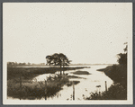 View of Sagg Inlet. Looking south from Saggaponack Road, east of Chas. T. Ludlow house. Bridgehampton, Southampton