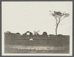 Monument marking location of second church in Bridgehampton. North side Saggaponack Road, east of Ocean Road. WindmilI in background. Bridgehampton, Southampton