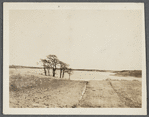 View of Kelly's (Kellis) Pond. South of Montauk Highway, west of D. Corwith house, SW of Abraham Halsey house. Bridgehampton, Southampton