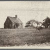 G.S. Topping house. North side Mill Road, opp. windmill, Hay Ground Hill. (Cow in foreground.) Bridgehampton, Southampton