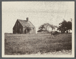 G.S. Topping house. North side Mill Road, opp. windmill, Hay Ground Hill. (Cow in foreground.) Bridgehampton, Southampton