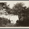 View of pond on Mecox Bay farm. South side Montauk Highway, between Bridgehampton and Water Mill.  Bridgehampton, Southampton