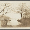 View of ducks on Mecox Bay Farm. South of Montauk Highway. Bridgehampton, Southampton