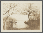 View of ducks on Mecox Bay Farm. South of Montauk Highway. Bridgehampton, Southampton