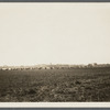 View of hay field. Looking west from west branch of shore road. Water Mill, Southampton