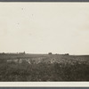 View of former Mecox Inn. Foot of Horse Mill Lane. View from Mecox Road. Bridgehampton, Southampton