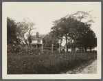 Haynes house. Road leading north to Hay Ground Cemetery, between Montauk Highway and Paul's Lane, Hay Ground. Bridgehampton, Southampton