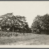 [E.M. Rogers] House. West side of road leading from Hay Ground Windmill north to Scuttle Hole Road, about 3 blocks north of railroad, Hay Ground. Bridgehampton, Southampton