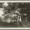 A. Cook house, "Bonnie Hame." East side road leading from windmill north to Scuttle Hole Rd., north of 1st road branching off west, Hay Ground. Bridgehampton, Southampton