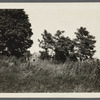 Alderman Haynes house. East side road leading from windmill north to Scuttle Hole Rd., north of A. Cook house, opp. 2nd road branching west, Hay Ground. Bridgehampton, Southampton