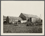 Andrew Eldridge barns. Near Scuttle Hole line, Hay Ground. Bridgehampton, Southampton