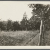 Andrew Eldridge house. Near Scuttle Hole line, Hay Ground. Bridgehampton, Southampton