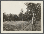 Andrew Eldridge house. Near Scuttle Hole line, Hay Ground. Bridgehampton, Southampton