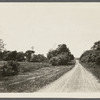 Roger Cook house. Near Scuttle Hole line, about 400ft north of Andrew Eldridge farmhouse, Hay Ground. Bridgehampton, Southampton