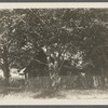 J. Haynes house. SE corner Scuttle Hole Road and 2nd road south of Scuttle Hole, Hay Ground. Bridgehampton, Southampton