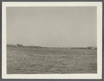 View of Town Pond (alias Lake Agawam) waterfront, showing houses. Southampton, Southampton