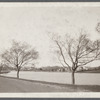 View of Town Pond (alias Lake Agawam) waterfront. Southampton, Southampton