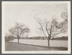 View of Town Pond (alias Lake Agawam) waterfront. Southampton, Southampton