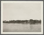 View of Town Pond (alias Lake Agawam) waterfront. Southampton, Southampton