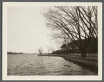 View of Town Pond (alias Lake Agawam) waterfront. Southampton, Southampton